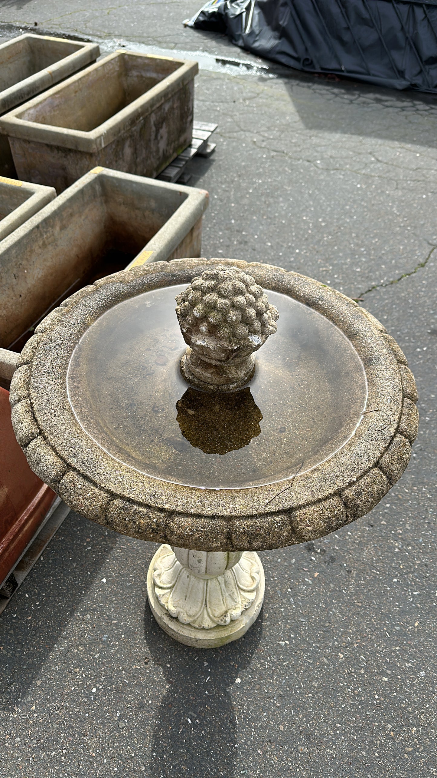 Bird Bath