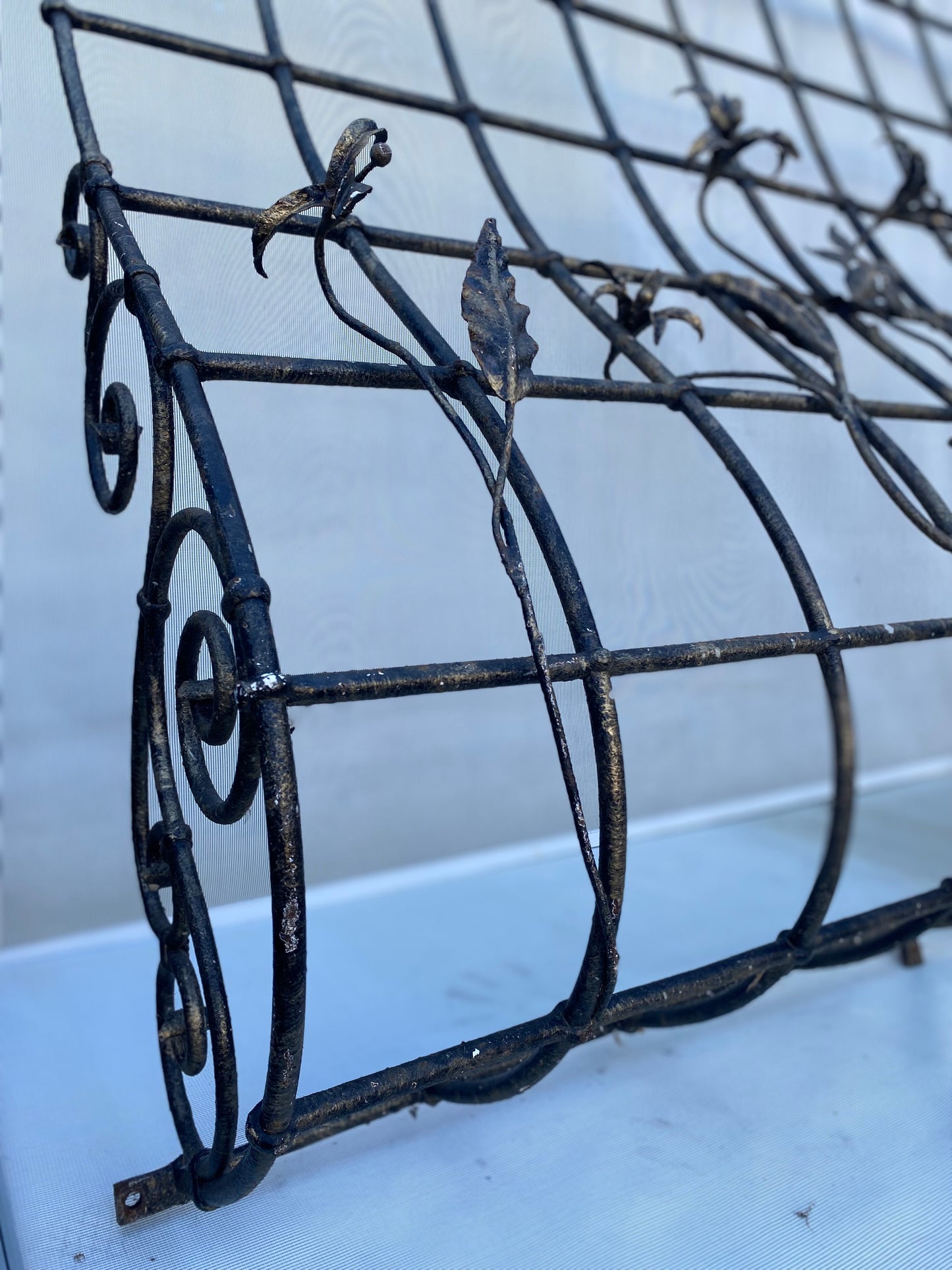 Decorative Window Guard