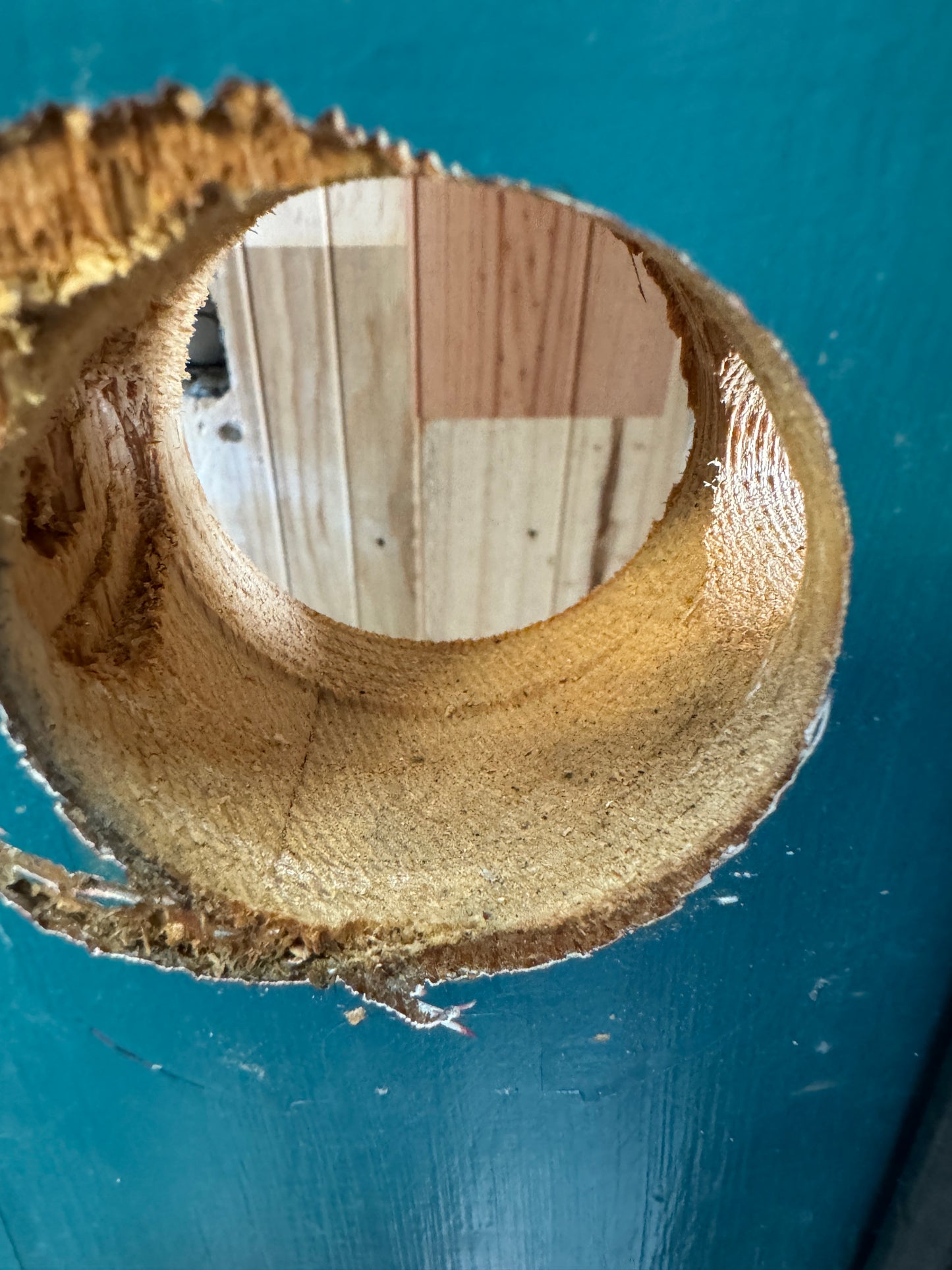 Solid Wood 8 Panel Entry Door