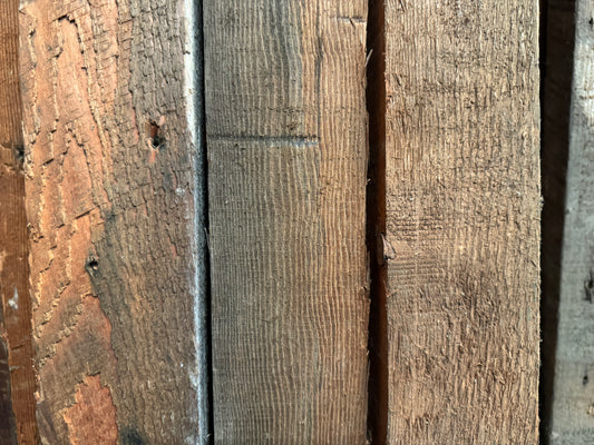 Old Growth Fir