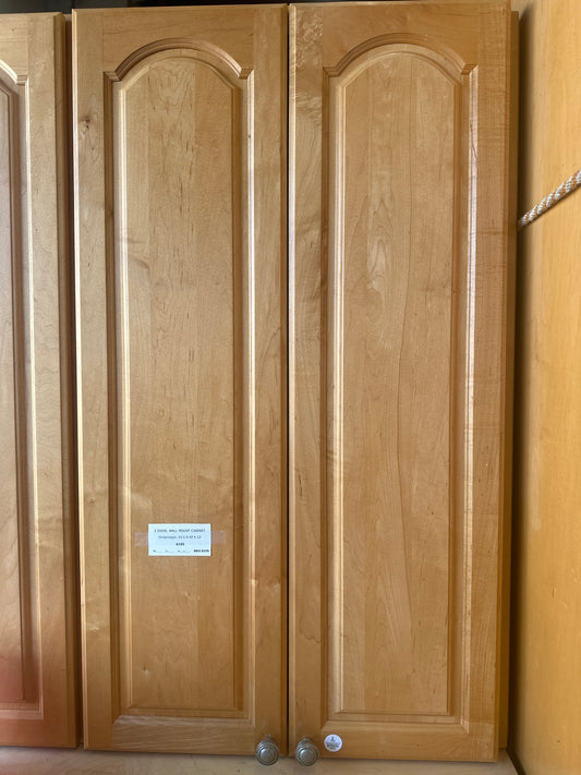 2 DOOR, WALL MOUNT CABINET