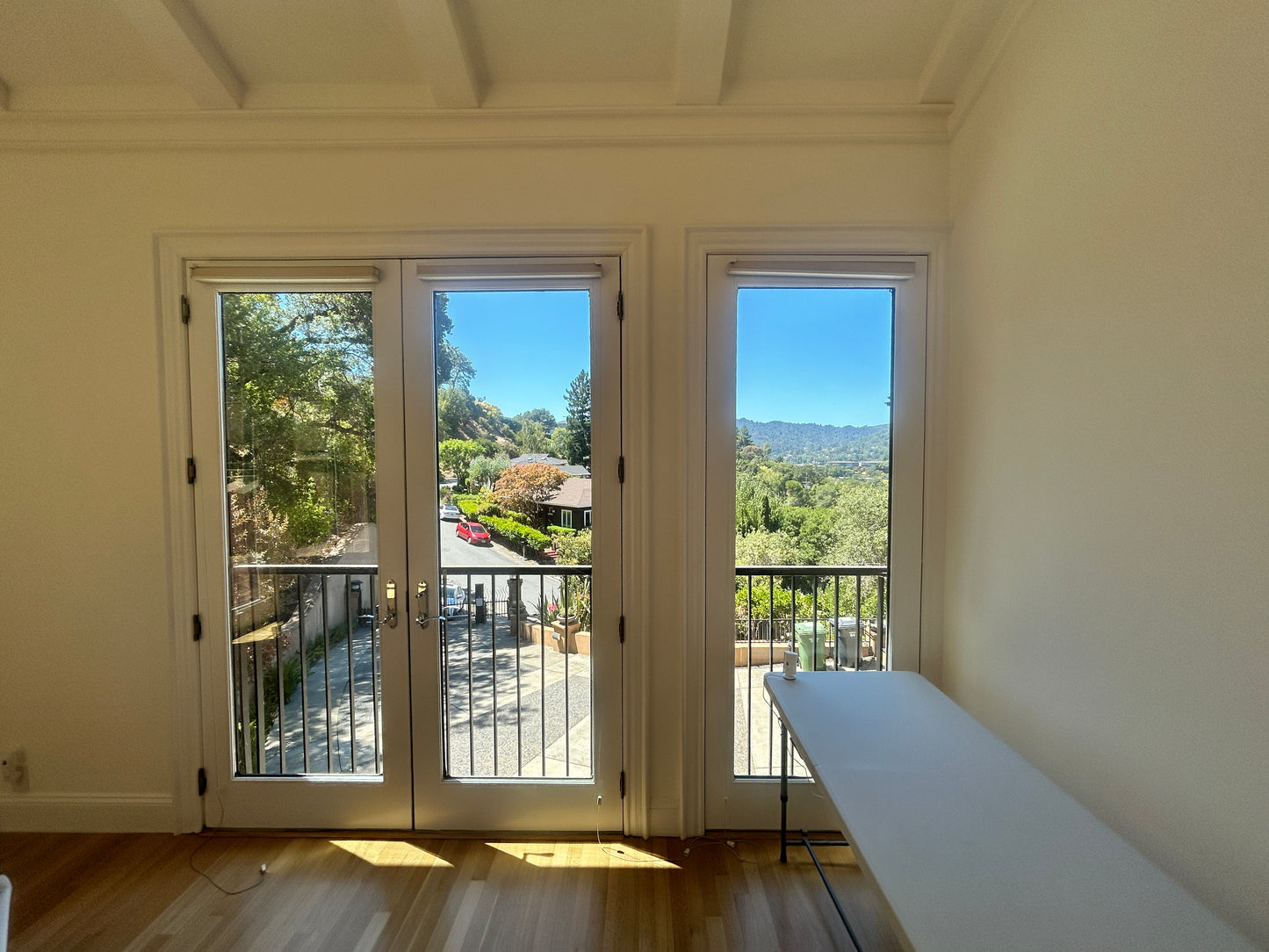 Aluminum clad, full lite french doors
